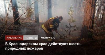 В Краснодарском крае действуют шесть природных пожаров