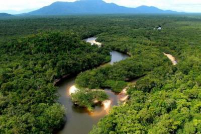 Ученые заявили о возможном исчезновении лесов Амазонки к 2064 году