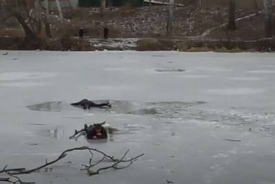В Сумах под лед провалилось двое мужчин