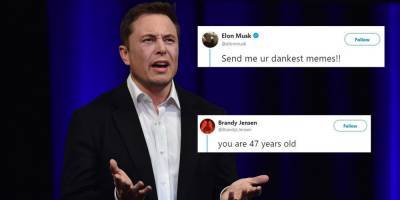 Будет защищать Илона Маска: в Tesla ищут специалиста по поддержке клиентов в соцсетях