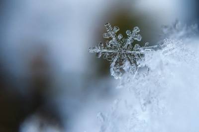 В Брянской области 20 января продолжат стоять аномальные холода
