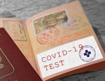 Усы, лапы и COVID-паспорт - вот мои документы