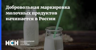 Добровольная маркировка молочных продуктов начинается в России