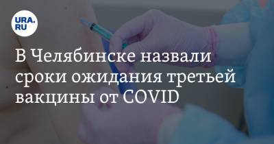 В Челябинске назвали сроки ожидания третьей вакцины от COVID. Мнение эпидемиолога