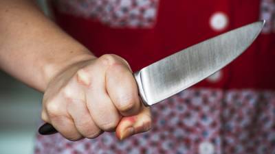 Жительница Гатчинского района убила мужа ударом ножа в самое сердце