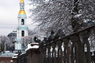 В среду в Петербурге похолодает, но только на один день
