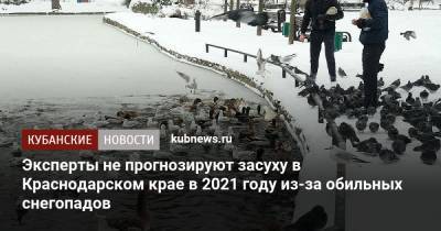 Эксперты не прогнозируют засуху в Краснодарском крае в 2021 году из-за обильных снегопадов