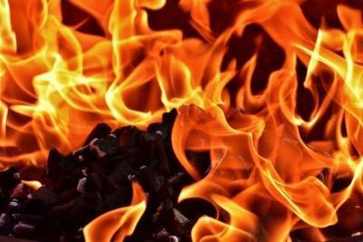 В Оренбургской области за сутки случилось восемь пожаров