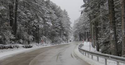 Прогноз погоды на 20 января: в Украине морозы пойдут на убыль и немного потеплеет
