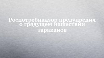 Светлана Рославцева - Роспотребнадзор предупредил о грядущем нашествии тараканов - chelny-izvest.ru