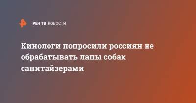 Владимир Голубев - Кинологи попросили россиян не обрабатывать лапы собак санитайзерами - ren.tv - Москва