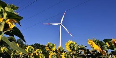 Правительство еще раз обдумает размер поддержки зеленой энергетики