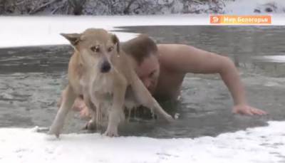 Белгородский журналист рассказал, как спас тонущую собаку из полыньи: немного отморозил пальцы