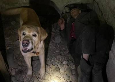 Лежал на трубах, слабел от голода: пропавшего под Новый год на Камчатке нашли в подвале