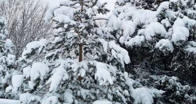 Настоящая зима: как выглядит Бакуриани после снегопада – фото