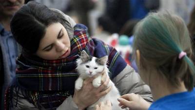 Более 3 тыс. животных забрали из городских приютов в Москве в 2020 году