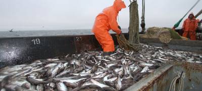 Объявлены лучшие рыбодобывающие компании и предприниматели в Карелии по итогам 2020 года
