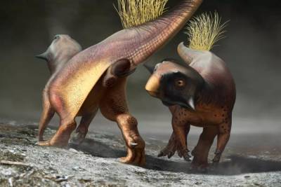 Интересный факт дня: Впервые найдена задница динозавров