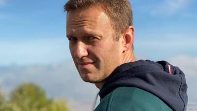 Заседание по делу Навального о клевете на ветерана отложено до 5 февраля