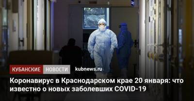 Коронавирус в Краснодарском крае 20 января: что известно о новых заболевших COVID-19