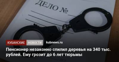 Пенсионер незаконно спилил деревья на 340 тыс. рублей. Ему грозит до 6 лет тюрьмы