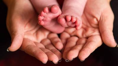 Адвокат раскритиковала некоторые положения законопроекта о суррогатном материнстве