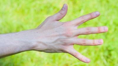 Что о характере человека говорит длина пальцев руки?