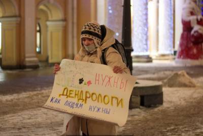В Петербурге задержали участников пикетов в защиту экологии