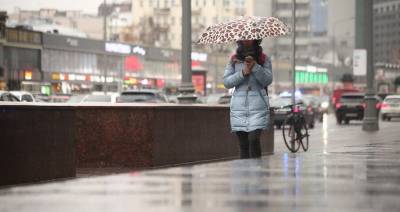 Оттепель, мокрый снег и дожди ожидаются в Москве в выходные