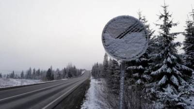 Ухудшение погоды в Украине: в каких регионах снежные заносы и метели