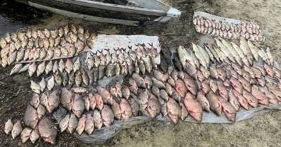 Украинские браконьеры за год &quot;наловили&quot; 150 тонн рыбы