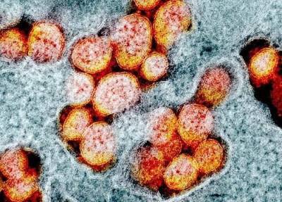 Китайские врачи описали повторное заражение коронавирусом пациентов с антителами