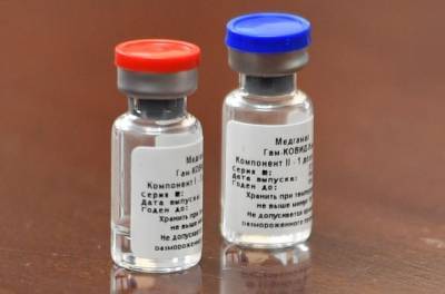 РФПИ: Экспертизу вакцины «Спутник V» для регистрации в ЕС начнут в феврале