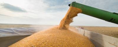 В России с 1 марта повысится экспортная пошлина на пшеницу