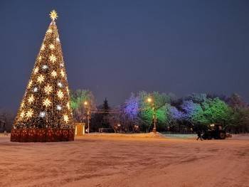 Мэр Вологды предложил 20 января сфотографироваться у новогодней елки