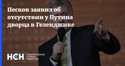 Песков заявил об отсутствии у Путина дворца в Геленджике
