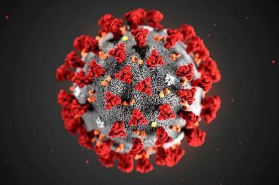 Учёные: Переболевшие коронавирусом могут повторно заразиться южноафриканским штаммом из-за мутации