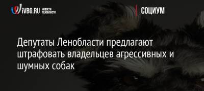 Депутаты Ленобласти предлагают штрафовать владельцев агрессивных и шумных собак