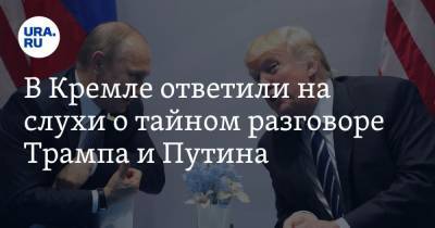В Кремле ответили на слухи о тайном разговоре Трампа и Путина