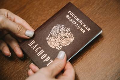 Россияне стали лидерами по получению финского гражданства в 2020 году