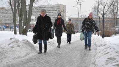 Желтый уровень опасности: в Москве ожидается ветер и метель