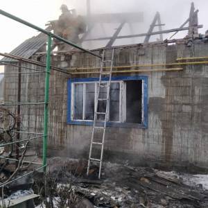 В селе в Запорожской области сгорела летняя кухня. Фото