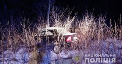 В Херсонской области автомобиль вылетел с трассы: водитель погиб (фото)