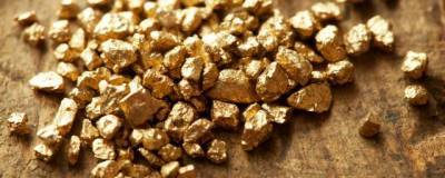 В Якутии добыча золота в 2020 году увеличилась на 7,1%