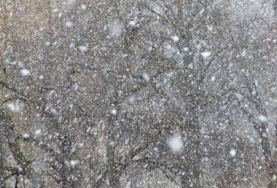 Снег, метель и до -16 градусов ожидаются в Ленобласти 21 января