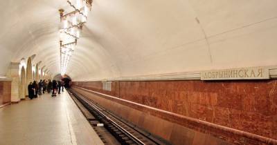 Пассажирка «забодала» поезд московского метро