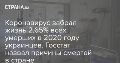 Коронавирус забрал жизнь 2,65% всех умерших в 2020 году украинцев. Госстат назвал причины смертей в стране