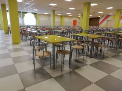 Более 40 школьников отравились в двух школах в Подмосковье