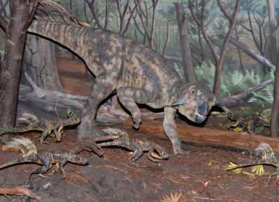 Ученые впервые в мельчайших подробностях изучили клоаку пситтакозавра