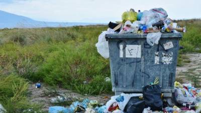 ЗакС предложил не штрафовать за вывоз твердых коммунальных отходов в выходные и праздники